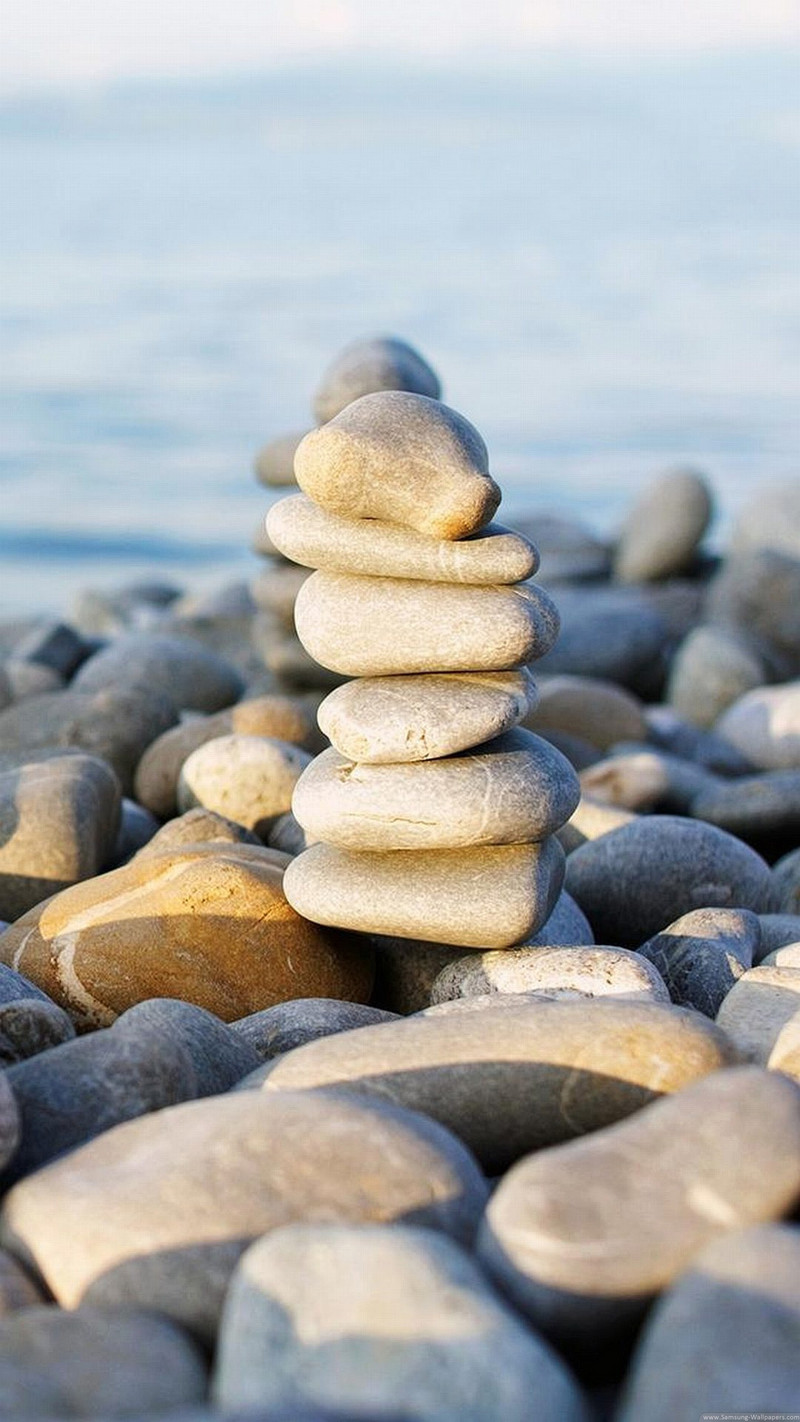 手机版论坛程序(手机版论坛程序在哪)