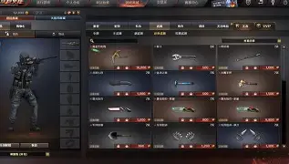 穿越火线无敌版苹果版(穿越火线无限版)-第2张图片-QuickQ官网