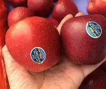 苹果非洲版(非洲苹果手机便宜吗)